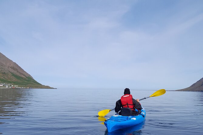 Guided kayak tour in Siglufjörður / Siglufjordur. - Local stories between the strokes