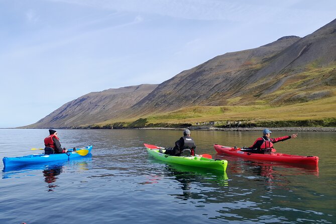 Guided kayak tour in Siglufjörður / Siglufjordur. - Who should book this kayak tour