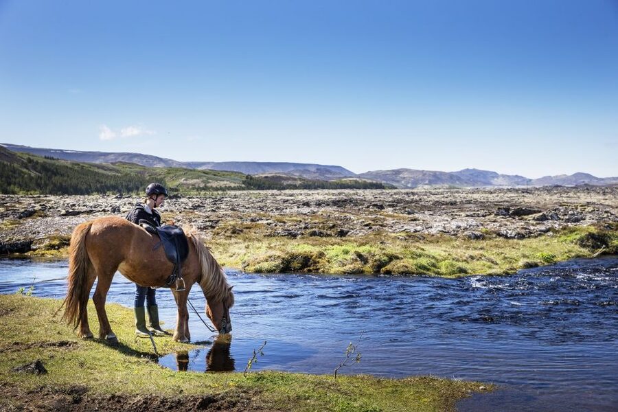 Hafnarfjörður: Horseback Riding Tour in Reykjavik Area - At a glance