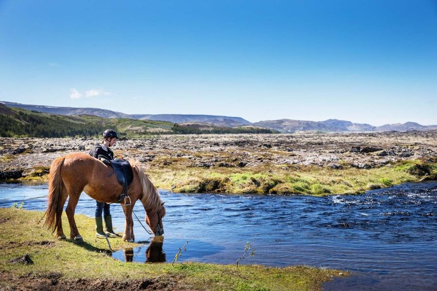 Hafnarfjörður: Horseback Riding Tour in Reykjavik Area - Riding an Icelandic horse near Hafnarfjörður