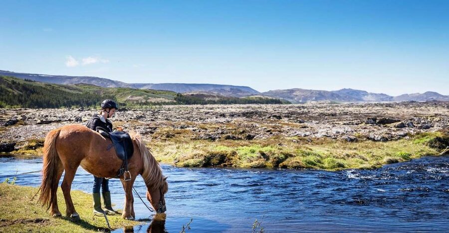 Hafnarfjörður: Horseback Riding Tour in Reykjavik Area - A calm lesson for beginners