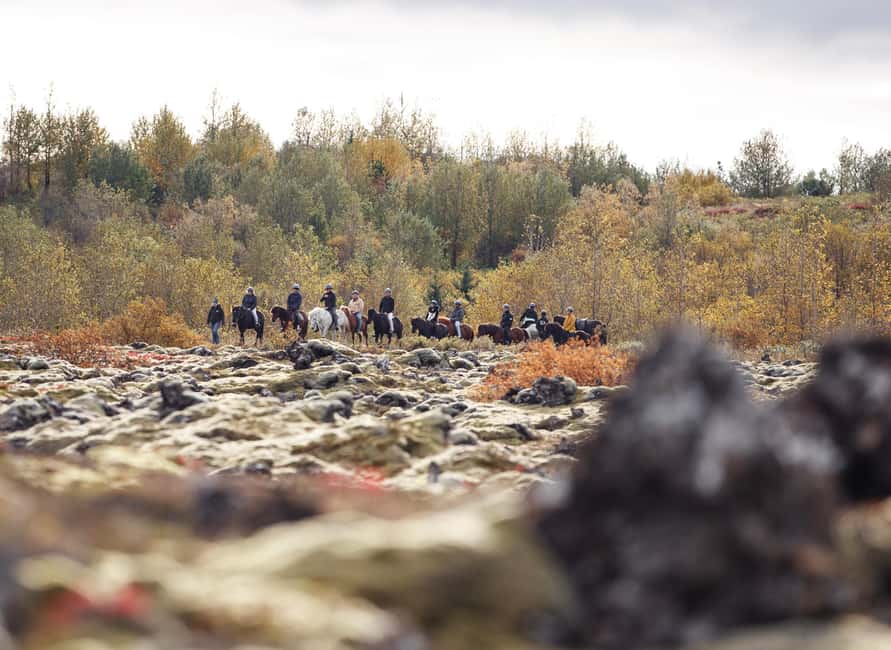 Hafnarfjörður: Horseback Riding Tour in Reykjavik Area - The Icelandic horse is the real attraction