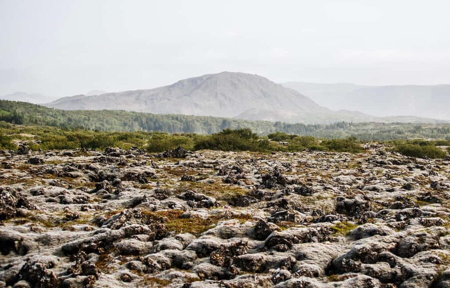 Hafnarfjörður: Horseback Riding Tour in Reykjavik Area - Practical details that affect your day
