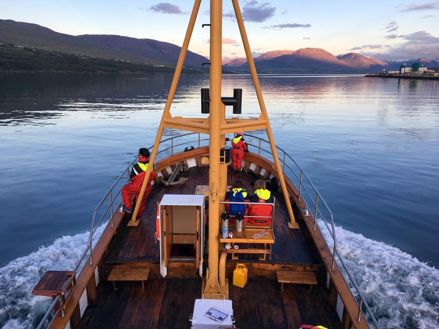 Hauganes: Whale Watching North Iceland - Why Hauganes is a smart whale-watching base