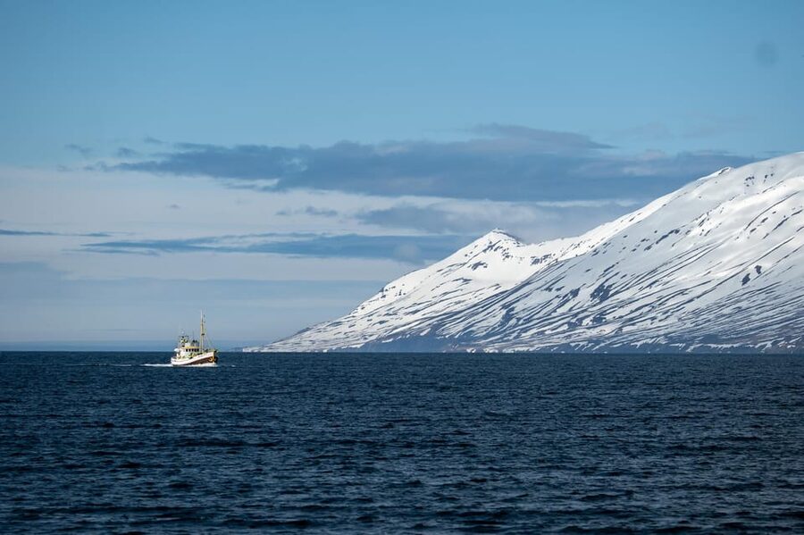 Hauganes: Whale Watching North Iceland - Setting out on a 30-minute cruise
