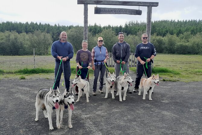Hiking with Husky in Akureyri - Meeting the husky family outside Akureyri