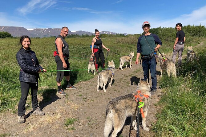 Hiking with Husky in Akureyri - A good choice for families and cruise passengers