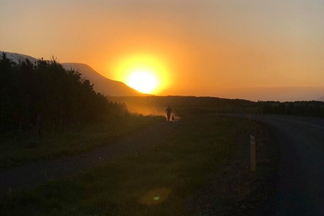 Hiking with Husky in Akureyri - Is $138.17 a fair price?