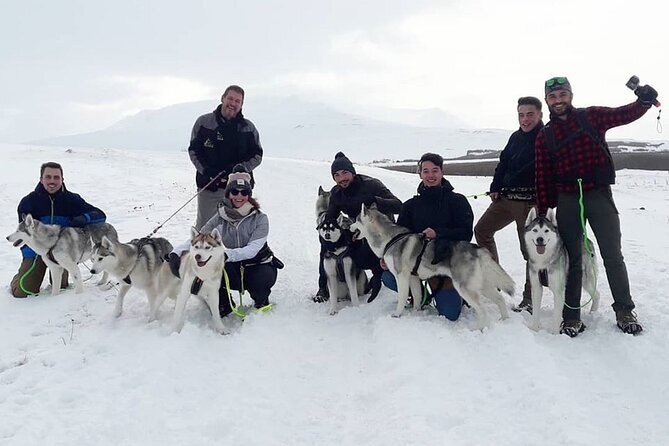 Hiking with Husky in Akureyri - What I would want you to know before going