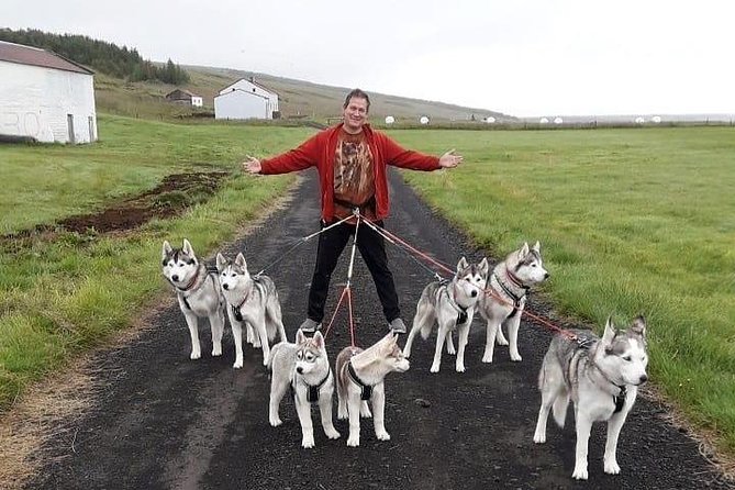 Hiking with Husky in Akureyri (private) - Coffee, stories, and dogs in the house