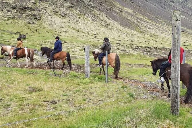Horse Riding Tour in Reykjadalur (Smoky Valley)-All Riding Levels - Meeting the horses and getting ready
