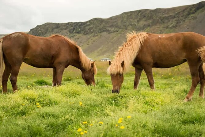 Horse Riding Tour in Reykjadalur (Smoky Valley)-All Riding Levels - The first stretch through the countryside