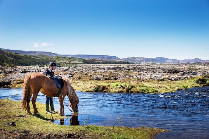 Horseback Riding Tour in Iceland - Key points to know before booking