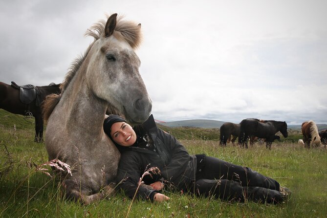 Horseback Riding Tour in Iceland - Who will enjoy this experience most?