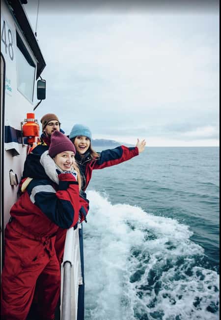 Húsavík: Family-Run and Guided Whale Watching Tour - Key points to know before you book