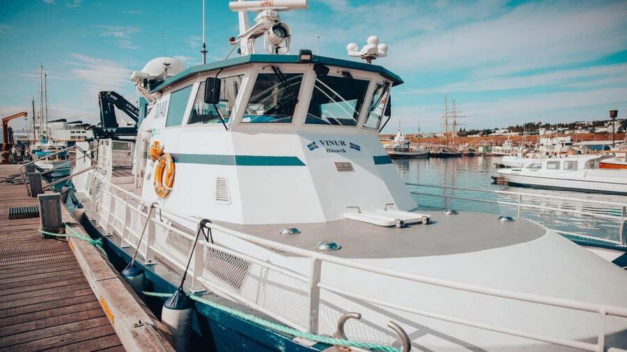 Húsavík: Family-Run and Guided Whale Watching Tour - Who should choose this Húsavík tour?
