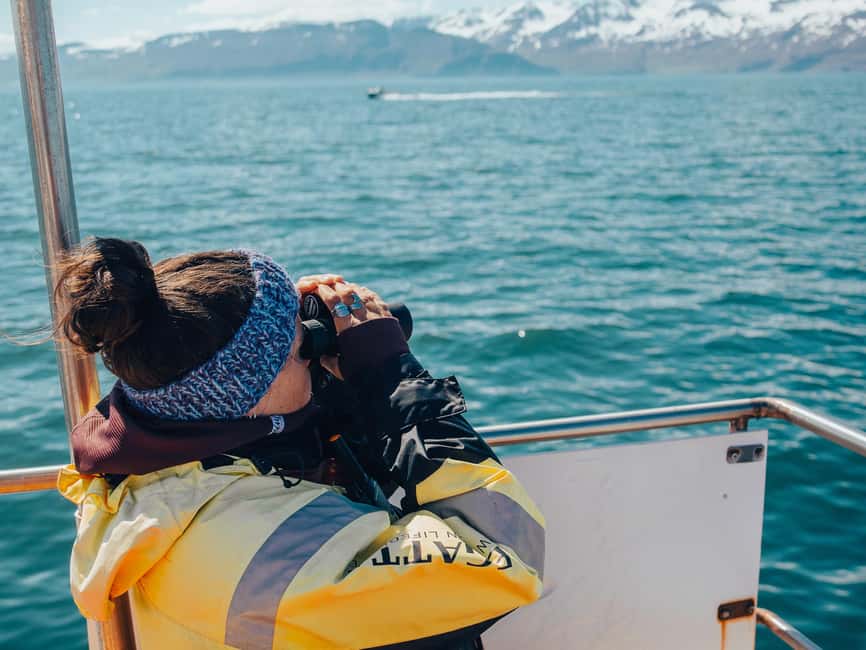 Húsavík: Family-Run and Guided Whale Watching Tour - The Whale Museum discount makes a useful pairing