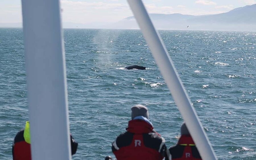 Húsavík: Family-Run and Guided Whale Watching Tour - The route across Skjálfandi Bay