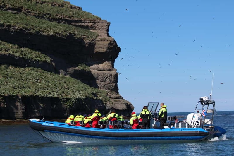 Húsavík: Original Big Whale Safari & Puffins by Speedboat - What the speedboat ride feels like