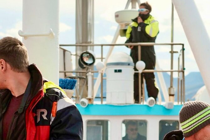 Húsavík Whale Watching Tour, family owned and operated - Mada’s marine biology commentary