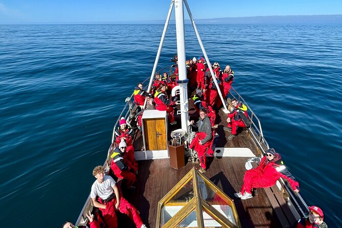 Húsavík Whale Watching Tour, family owned and operated - Why the $102.84 price can be good value