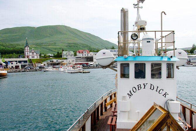 Húsavík Whale Watching Tour, family owned and operated - What you are most likely to see