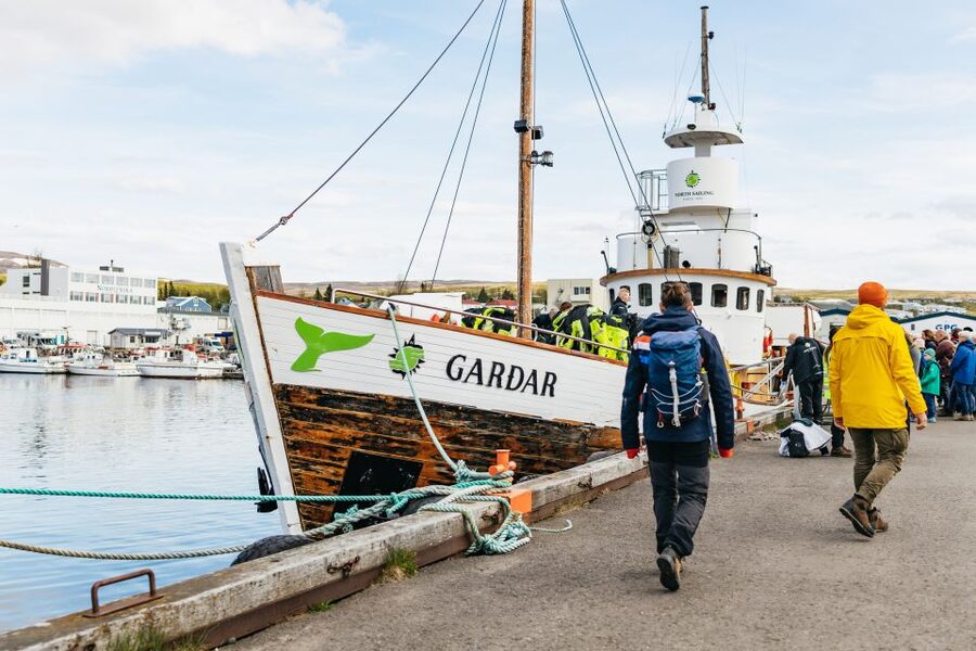 Húsavík: Whale Watching Tour with Guide - Who will enjoy this trip most?
