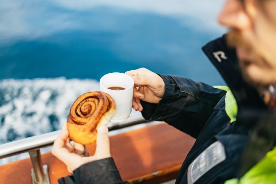 Húsavík: Whale Watching Tour with Guide - What the three-hour schedule really gives you