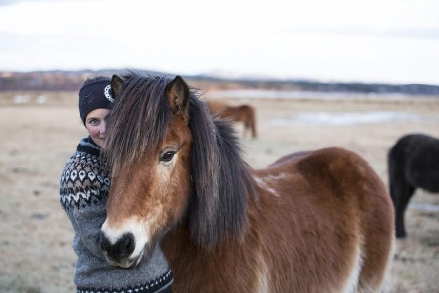 Hveragerdi: Countryside Charm Horse Riding Tour - FAQ
