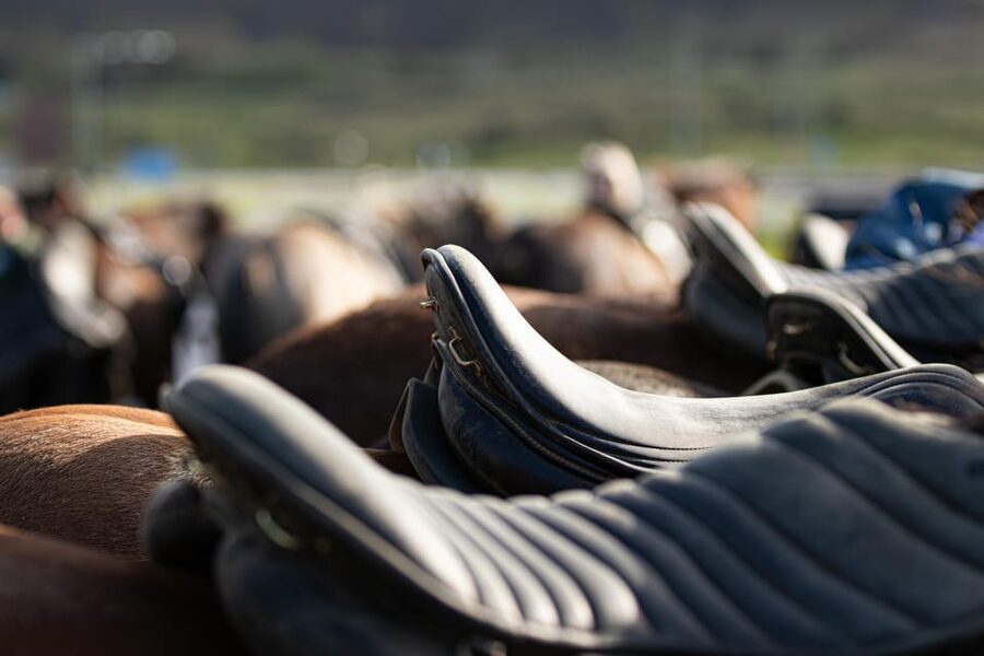 Hveragerdi: Countryside Charm Horse Riding Tour - One hour through meadows and farmland