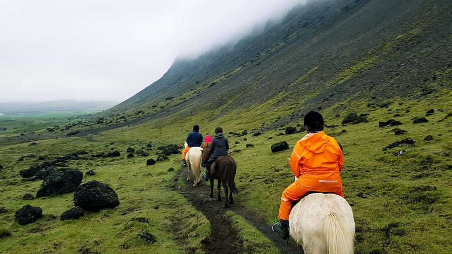 Hveragerði: Horseback Riding Tour for Beginners and … - Practical booking advice