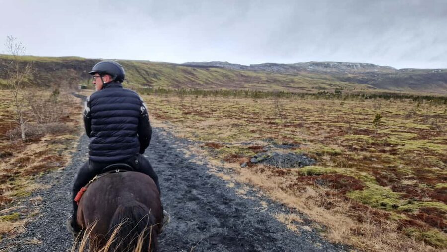 Hveragerði: Horseback Riding Tour for Beginners and … - Meeting the horses at the Reykjadalur stable