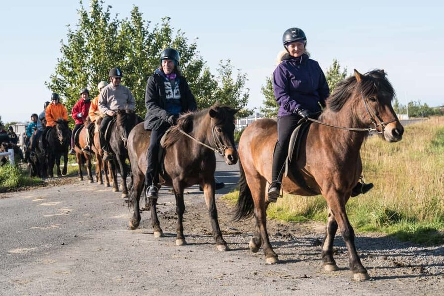 Hveragerdi: The Siggi Horse Riding Tour - Why This Ride Feels More Icelandic Than a Paddock Loop