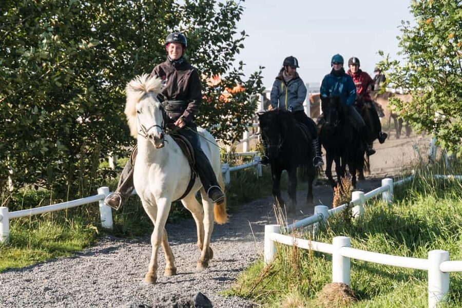 Hveragerdi: The Siggi Horse Riding Tour - Meeting the Icelandic Horse