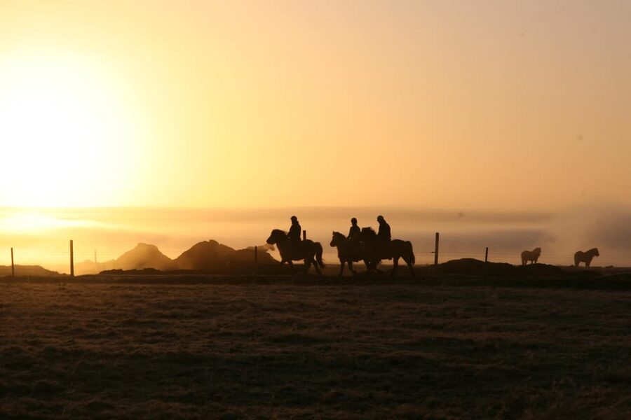 Hveragerdi: The Siggi Horse Riding Tour - What the Two Hours Really Include