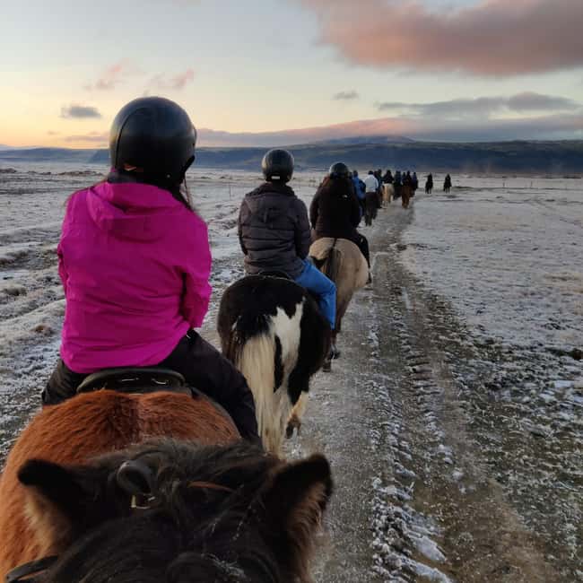 Hveragerdi: The Siggi Horse Riding Tour - Price and Practical Value at $132