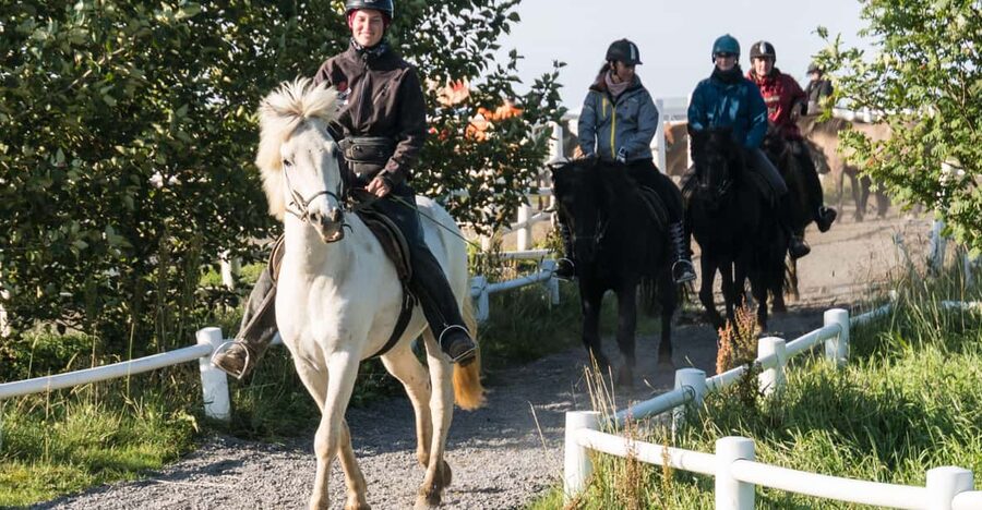 Hveragerdi: The Siggi Horse Riding Tour - What to Wear and What to Leave Behind