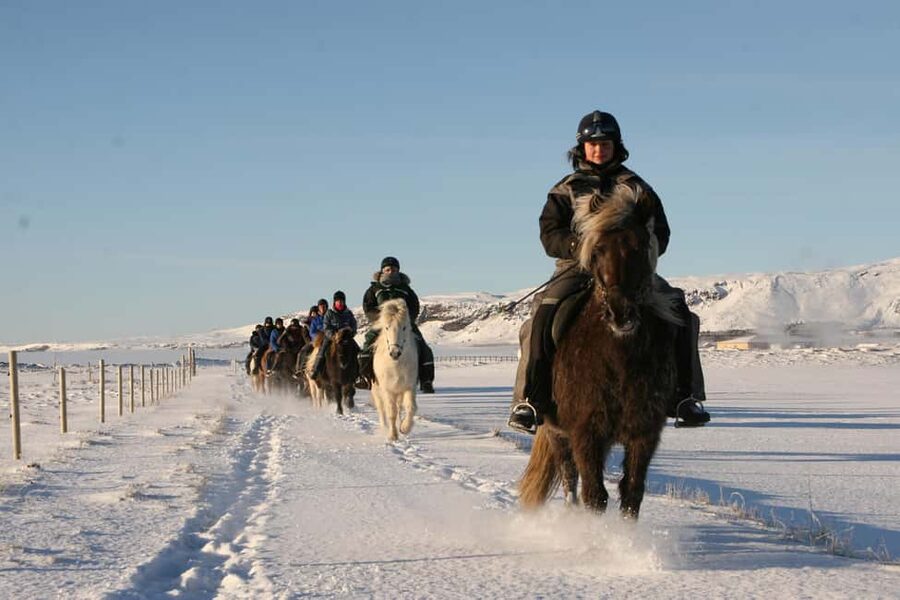 Hveragerdi: The Siggi Horse Riding Tour - Pickup Points and Return to Reykjavík