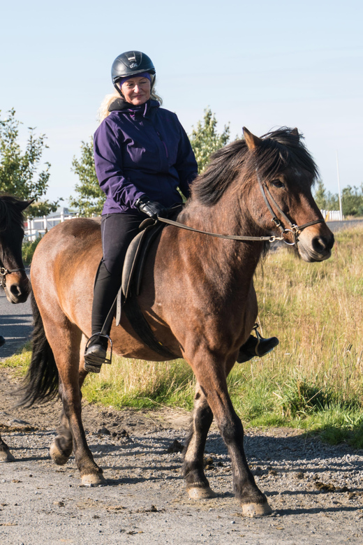 Hveragerdi: The Siggi Horse Riding Tour - My Take: A Strong Short Ride With One Clear Limitation
