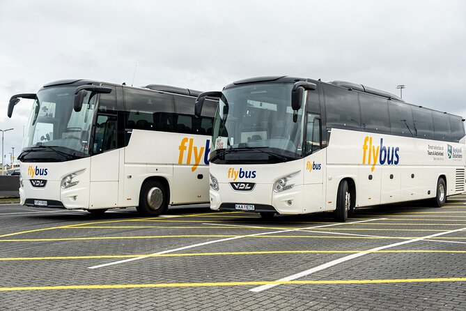 Iceland: Airport Transfers between Keflavik and Reykjavik Hotels - Key points to know before booking