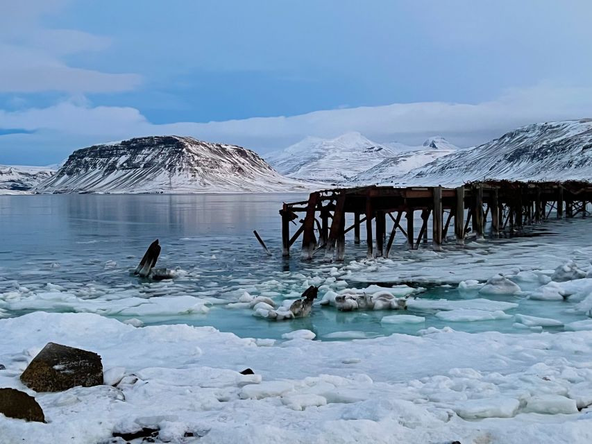 Iceland in a nutshell, private Super Jeep - Reykholt and the world of Snorri Sturluson