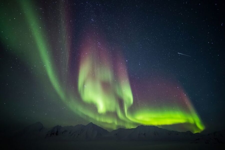 Iceland: South Coast and Northern Lights Tour - Sólheimajökull: a close look at moving ice