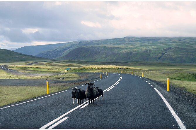 Iceland South Coast Tour with Pickup - The long ride and what it means for your day