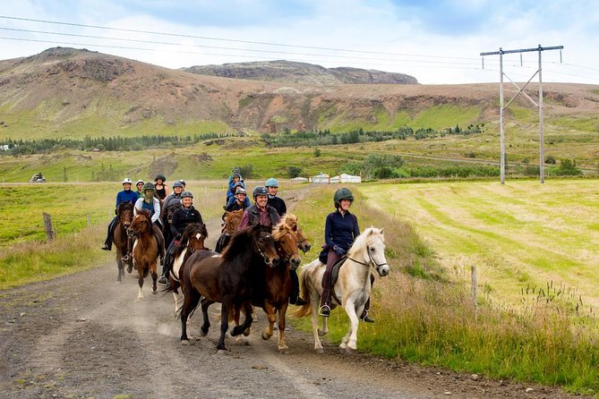 Icelandic Horse Riding and Whale Watching Cruise from Reykjavík - What makes the horse ride special