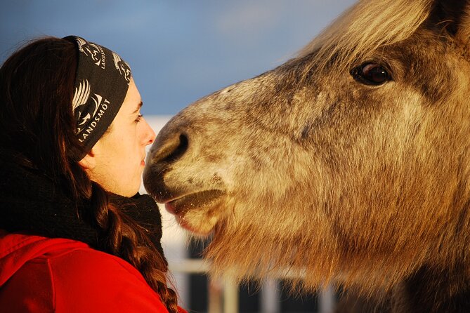 Icelandic Horse Riding and Whale Watching Tour from Reykjavik - Why this horse-and-whale pairing works