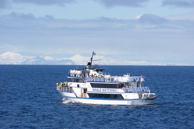 Icelandic Horse Riding and Whale Watching Tour from Reykjavik - Searching Faxaflói Bay by high-speed boat