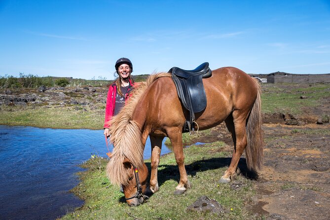 Icelandic Horse Riding and Whale Watching Tour from Reykjavik - What the small group changes