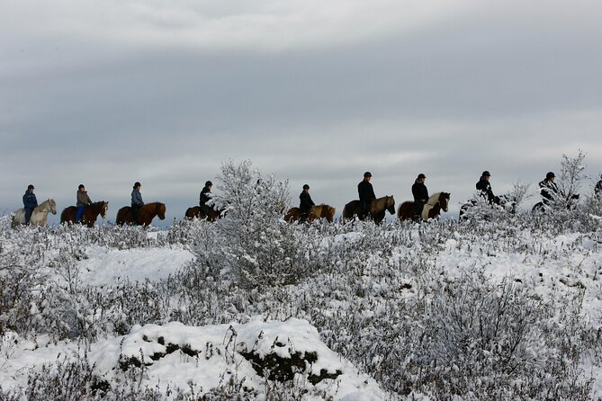 Icelandic Horse Riding and Whale Watching Tour from Reykjavik - Riding the tölt across volcanic ground