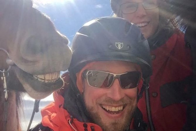 Icelandic Horseback Riding Tour Including Pick Up from Reykjavik - The horses are part of the experience