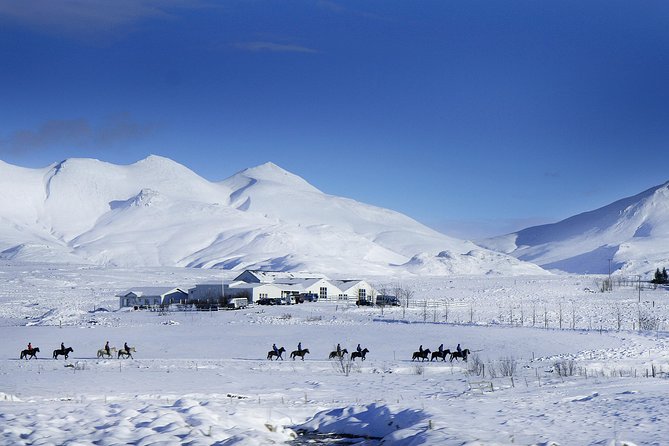 Icelandic Horseback Riding Tour Including Pick Up from Reykjavik - Warming up with coffee and pastry